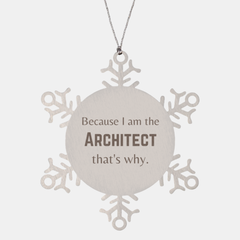Funny Architect Gifts, Because I am the Architect, Appreciation Gifts for Architect, Birthday Snowflake Ornament For Men, Women, Friends