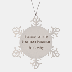 Funny Assistant Principal Gifts, Because I am the Assistant Principal, Appreciation Gifts for Assistant Principal, Birthday Snowflake Ornament For Men, Women, Friends