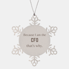 Funny CFO Gifts, Because I am the CFO, Appreciation Gifts for CFO, Birthday Snowflake Ornament For Men, Women, Friends