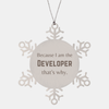 Funny Developer Gifts, Because I am the Developer, Appreciation Gifts for Developer, Birthday Snowflake Ornament For Men, Women, Friends