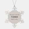 Funny Farmer Gifts, Because I am the Farmer, Appreciation Gifts for Farmer, Birthday Snowflake Ornament For Men, Women, Friends