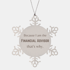 Funny Financial Advisor Gifts, Because I am the Financial Advisor, Appreciation Gifts for Financial Advisor, Birthday Snowflake Ornament For Men, Women, Friends
