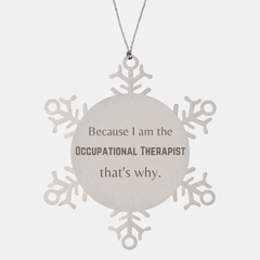 Funny Occupational Therapist Gifts, Because I am the Occupational Therapist, Appreciation Gifts for Occupational Therapist, Birthday Snowflake Ornament For Men, Women, Friends