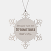 Funny Optometrist Gifts, Because I am the Optometrist, Appreciation Gifts for Optometrist, Birthday Snowflake Ornament For Men, Women, Friends