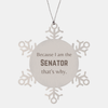 Funny Senator Gifts, Because I am the Senator, Appreciation Gifts for Senator, Birthday Snowflake Ornament For Men, Women, Friends