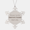 Funny Substitute Teacher Gifts, Because I am the Substitute Teacher, Appreciation Gifts for Substitute Teacher, Birthday Snowflake Ornament For Men, Women, Friends
