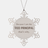 Funny Vice-principal Gifts, Because I am the Vice-principal, Appreciation Gifts for Vice-principal, Birthday Snowflake Ornament For Men, Women, Friends