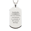 Grandmother Thank You Gifts, Your presence is a reminder of life's greatest, Appreciation Blessing Birthday Silver Dog Tag for Grandmother