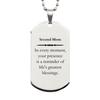 Second Mom Thank You Gifts, Your presence is a reminder of life's greatest, Appreciation Blessing Birthday Silver Dog Tag for Second Mom