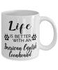 Funny American English Coonhound Dog Mug Life Is Better With An American English Coonhound Coffee Cup 11oz 15oz White