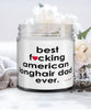 Funny American Longhair Cat Candle B3st F-cking American Longhair Dad Ever 9oz Vanilla Scented Candles Soy Wax