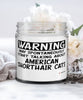 Funny American Shorthair Cat Candle Warning May Spontaneously Start Talking About American Shorthair Cats 9oz Vanilla Scented Candles Soy Wax