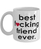 Funny B3st F-cking Friend Ever Coffee Mug White