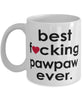 Funny B3st F-cking Pawpaw Ever Coffee Mug White