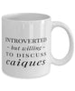 Funny Bird Mug Introverted But Willing To Discuss Caiques Coffee Mug 11oz White