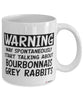 Funny Bourbonnais Grey Rabbit Mug Warning May Spontaneously Start Talking About Bourbonnais Grey Coffee Cup White