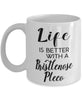Funny Bristlenose Pleco Fish Mug Life Is Better With A Bristlenose Pleco Coffee Cup 11oz 15oz White