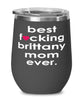 Funny Brittany Dog Wine Glass B3st F-cking Brittany Mom Ever 12oz Stainless Steel Black