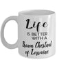 Funny Brown Chestnut Of Lorraine Rabbit Mug Life Is Better With A Brown Chestnut Of Lorraine Coffee Cup 11oz 15oz White