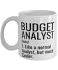 Funny Budget Analyst Mug Like A Normal Analyst But Much Cooler Coffee Cup 11oz 15oz White