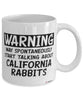 Funny California Rabbit Mug Warning May Spontaneously Start Talking About California Rabbits Coffee Cup White
