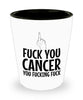 Funny Cancer Shot Glass F-ck You Cancer You F-cking F-ck