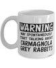Funny Carmagnola Grey Rabbit Mug Warning May Spontaneously Start Talking About Carmagnola Grey Rabbits Coffee Cup White