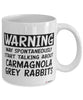 Funny Carmagnola Grey Rabbit Mug Warning May Spontaneously Start Talking About Carmagnola Grey Rabbits Coffee Cup White