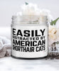 Funny Cat Candle Easily Distracted By American Shorthair Cats 9oz Vanilla Scented Candles Soy Wax