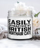 Funny Cat Candle Easily Distracted By British Shorthair Cats 9oz Vanilla Scented Candles Soy Wax