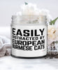 Funny Cat Candle Easily Distracted By European Burmese Cats 9oz Vanilla Scented Candles Soy Wax
