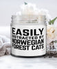Funny Cat Candle Easily Distracted By Norwegian Forest Cats 9oz Vanilla Scented Candles Soy Wax