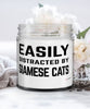 Funny Cat Candle Easily Distracted By Siamese Cats 9oz Vanilla Scented Candles Soy Wax