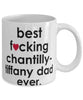 Funny Cat Mug B3st F-cking Chantilly-Tiffany Dad Ever Coffee Cup White