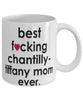 Funny Cat Mug B3st F-cking Chantilly-Tiffany Mom Ever Coffee Cup White