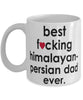 Funny Cat Mug B3st F-cking Himalayan-Persian Dad Ever Coffee Cup White