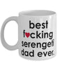 Funny Cat Mug B3st F-cking Serengeti Dad Ever Coffee Cup White