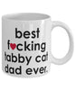 Funny Cat Mug B3st F-cking Tabby Cat Dad Ever Coffee Cup White