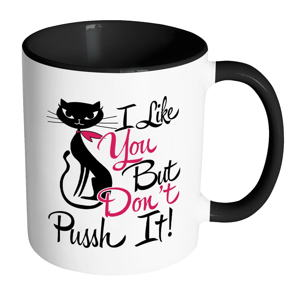 Funny Cat Mug I Like You But Don't Pussh It White 11oz Accent Coffee Mugs