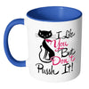 Funny Cat Mug I Like You But Don't Pussh It White 11oz Accent Coffee Mugs