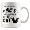 Funny Cat Mug If You Think Ive Got Attitude You Should 11oz White Coffee Mugs