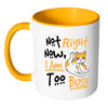 Funny Cat Mug Not Right Now I Am Too Busy White 11oz Accent Coffee Mugs