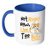 Funny Cat Mug Not Right Now I Am Too Busy White 11oz Accent Coffee Mugs