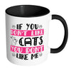 Funny Cat Mug You Dont Like Cats You Dont Like Me White 11oz Accent Coffee Mugs