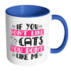 Funny Cat Mug You Dont Like Cats You Dont Like Me White 11oz Accent Coffee Mugs