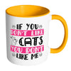 Funny Cat Mug You Dont Like Cats You Dont Like Me White 11oz Accent Coffee Mugs