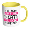 Funny Cat Mug You Dont Like Cats You Dont Like Me White 11oz Accent Coffee Mugs