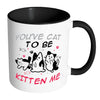 Funny Cat Mug You've Cat To Be Kitting Me White 11oz Accent Coffee Mugs