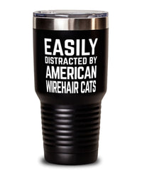 Funny Cat Tumbler Easily Distracted By American Wirehair Cats Tumbler 30oz Stainless Steel