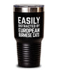 Funny Cat Tumbler Easily Distracted By European Burmese Cats Tumbler 30oz Stainless Steel